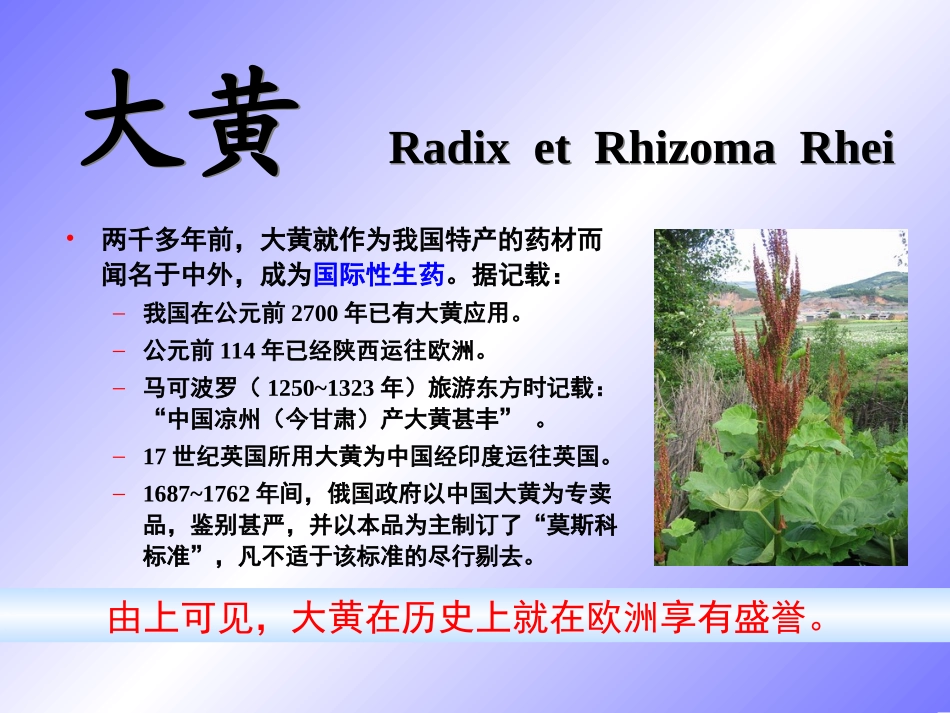 大黄__鉴定_第2页