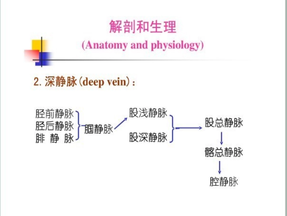 大隐静脉曲张病人护理_第3页