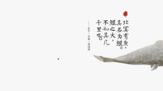 大鱼海棠大脑洞别样分析