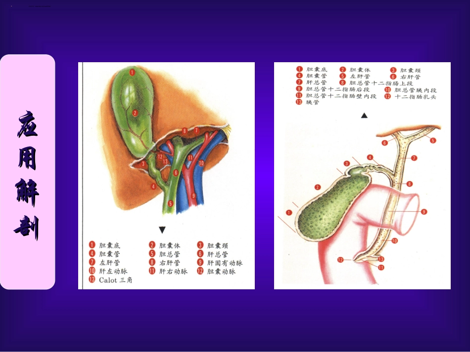 大连医科大学附属第二医院_第2页