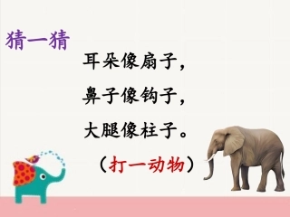 大象的耳朵ppt