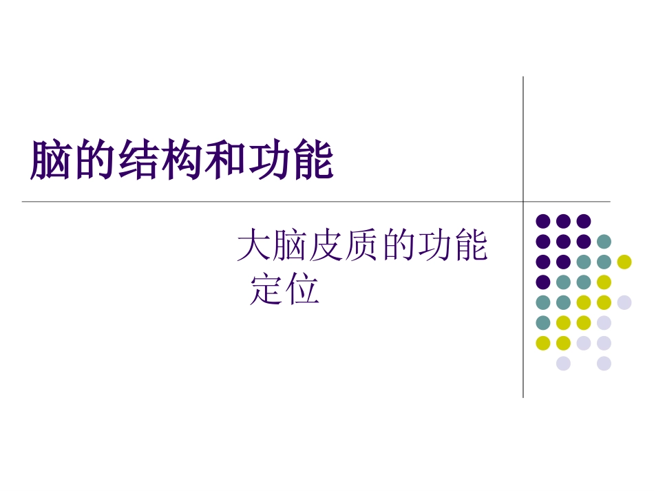 大脑皮质的功能定位_第1页