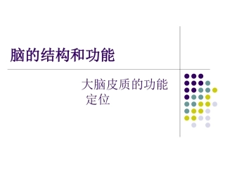 大脑皮质的功能定位