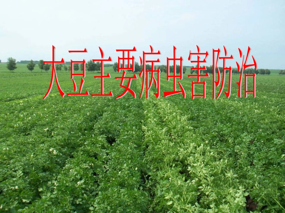 大豆主要病虫害防治_第1页