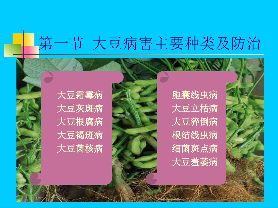 大豆主要病虫害防治_第2页