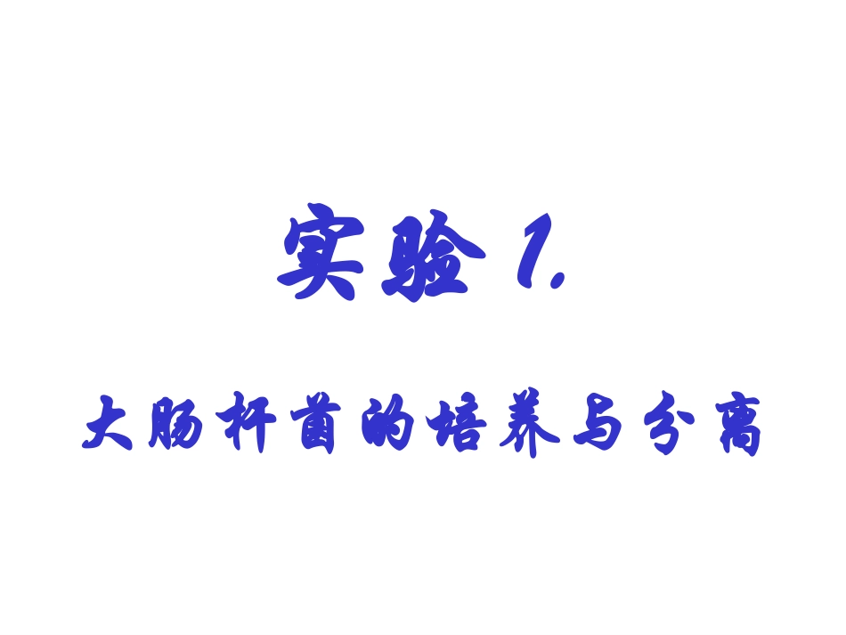 大肠杆菌的培养与分离_第1页