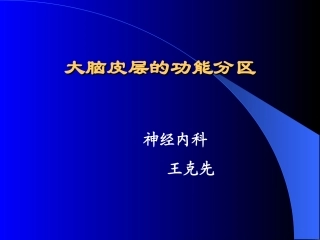 大脑皮质功能分区