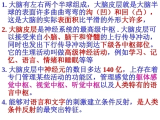 大脑皮层是神经系统的最高级中枢00(1)