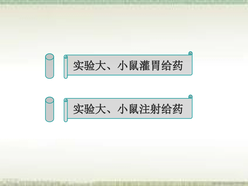 大小鼠给药基本操作_第2页