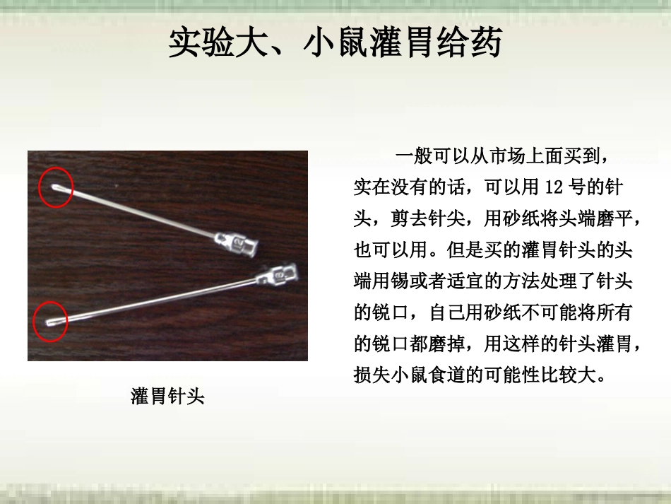 大小鼠给药基本操作_第3页