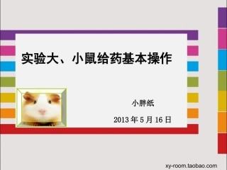 大小鼠给药基本操作