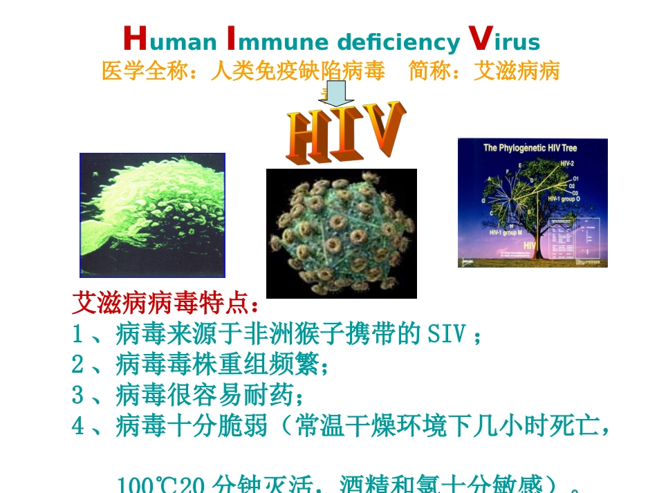 大学艾滋病防控_第3页