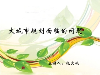 大城市面临的问题(祝文斌)