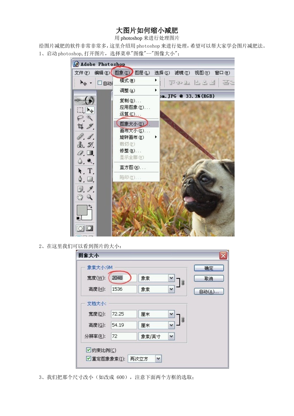 大图片缩小扩大的几种处理方法_第1页