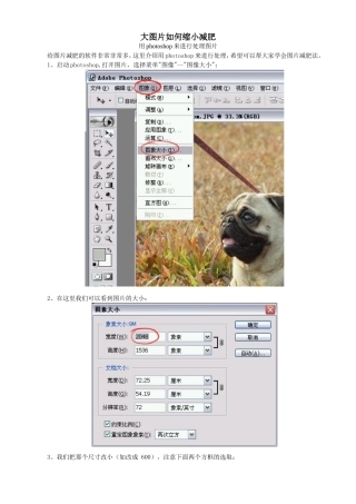 大图片缩小扩大的几种处理方法