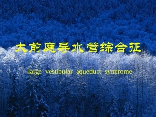 大前庭导水管综合征