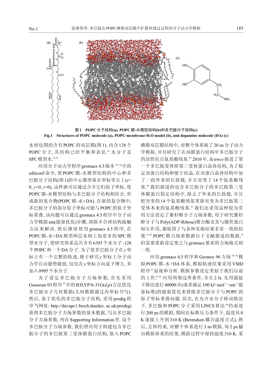 多巴胺在 磷脂双层膜中扩散和透过过程的分子动力学模拟_第3页