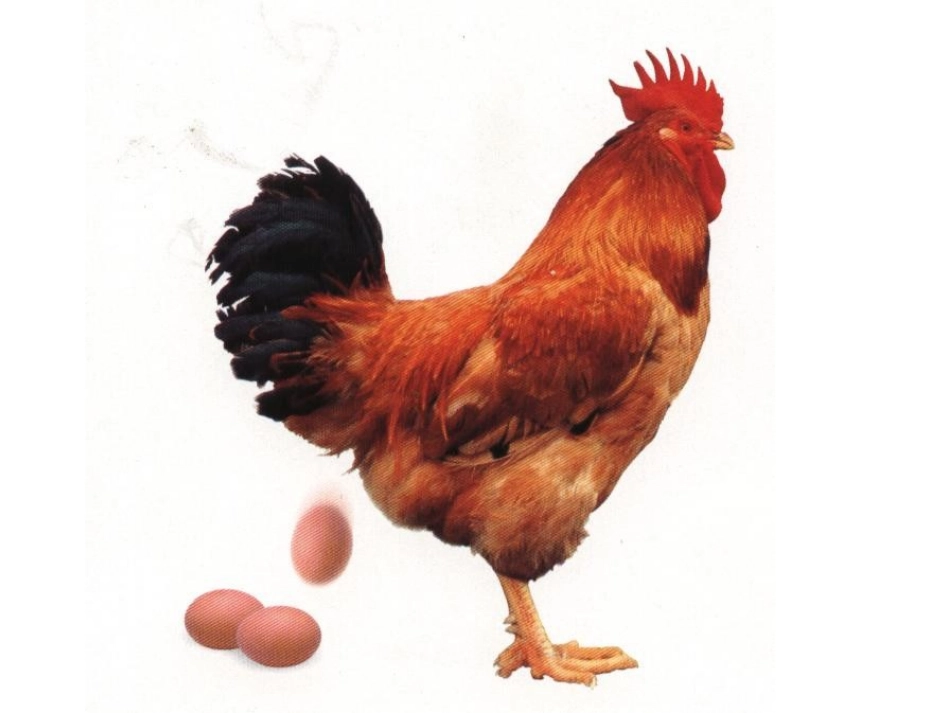 外科手术基础_第1页