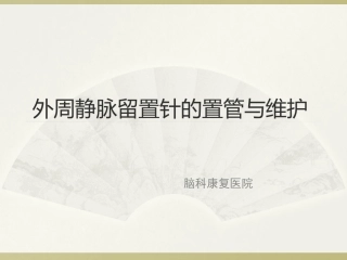 外周静脉留置针的置管与维护资料