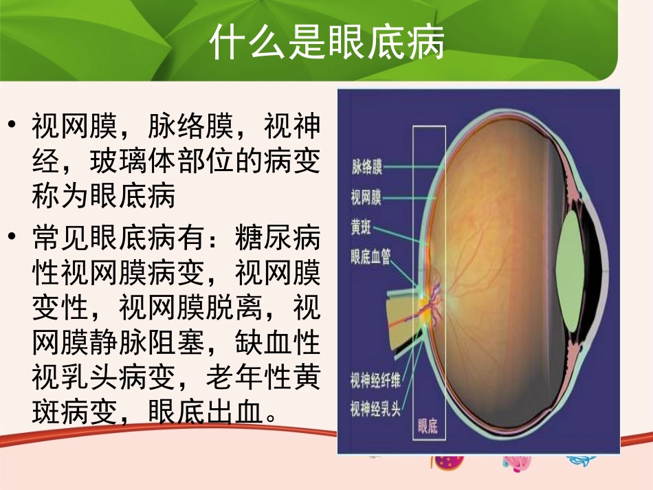 复方血栓通胶囊眼科幻灯片--基药_第3页