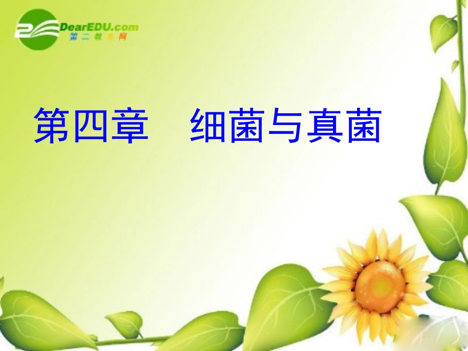 复习《细菌与真菌》_第2页