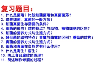 复习《细菌与真菌》