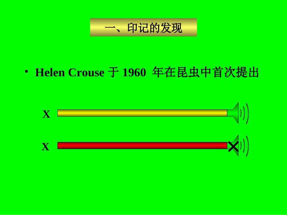 基因组印记d_第3页