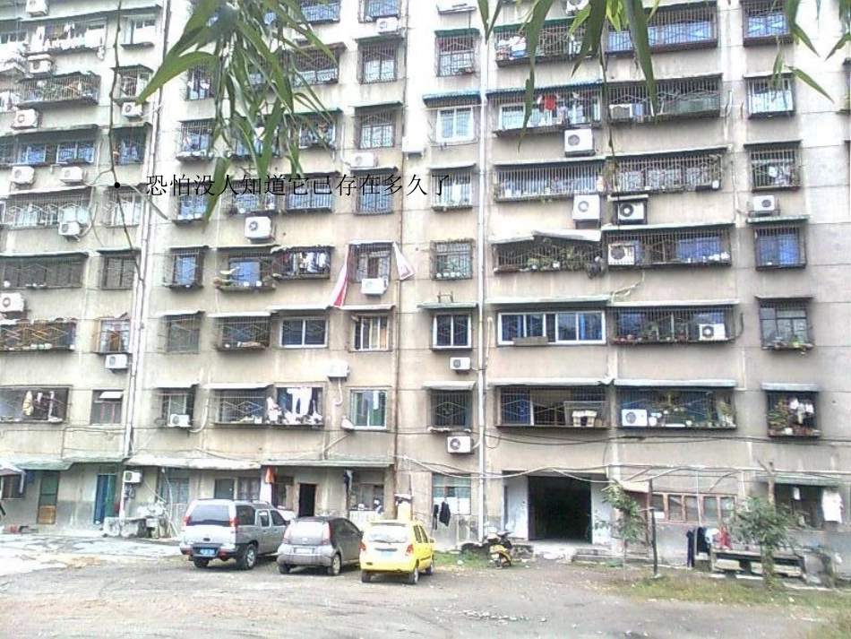 城市,带着阵痛进化_第3页