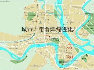城市,带着阵痛进化