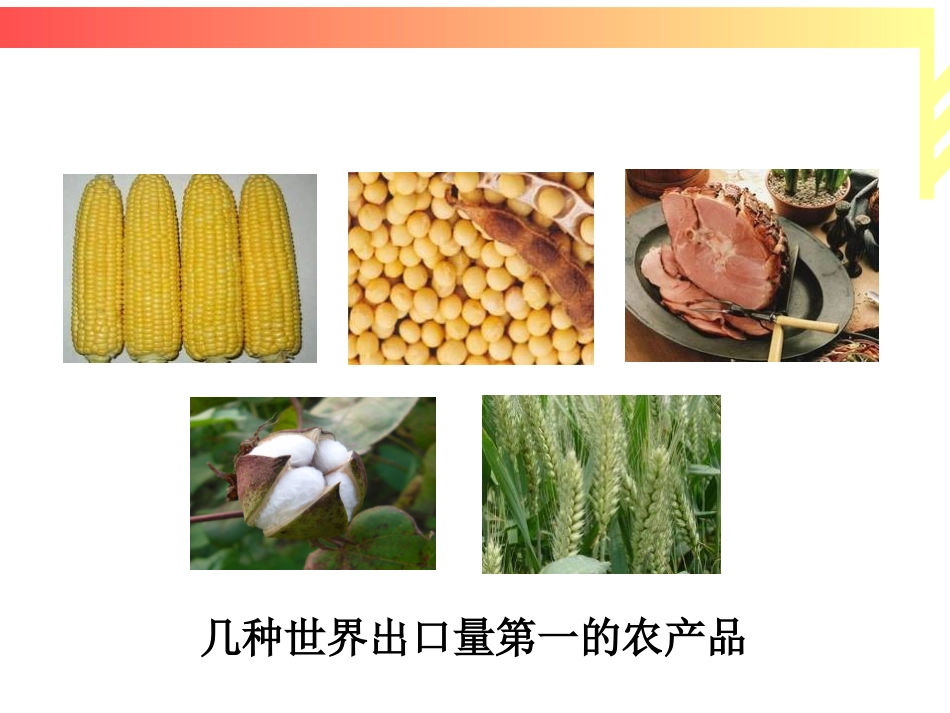 在落基山脉与阿巴拉契亚山脉之间为广阔的中央平原2_第3页