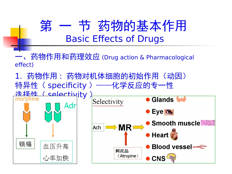 在拮抗药作用下_第2页
