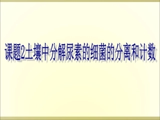 土壤中分解尿素的细菌的分离和计数