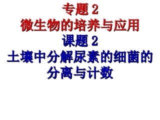 土壤中分解尿素的细菌的分离与计数(上课)..