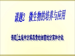 土壤中分解尿素的细菌的分离和计数-上课用