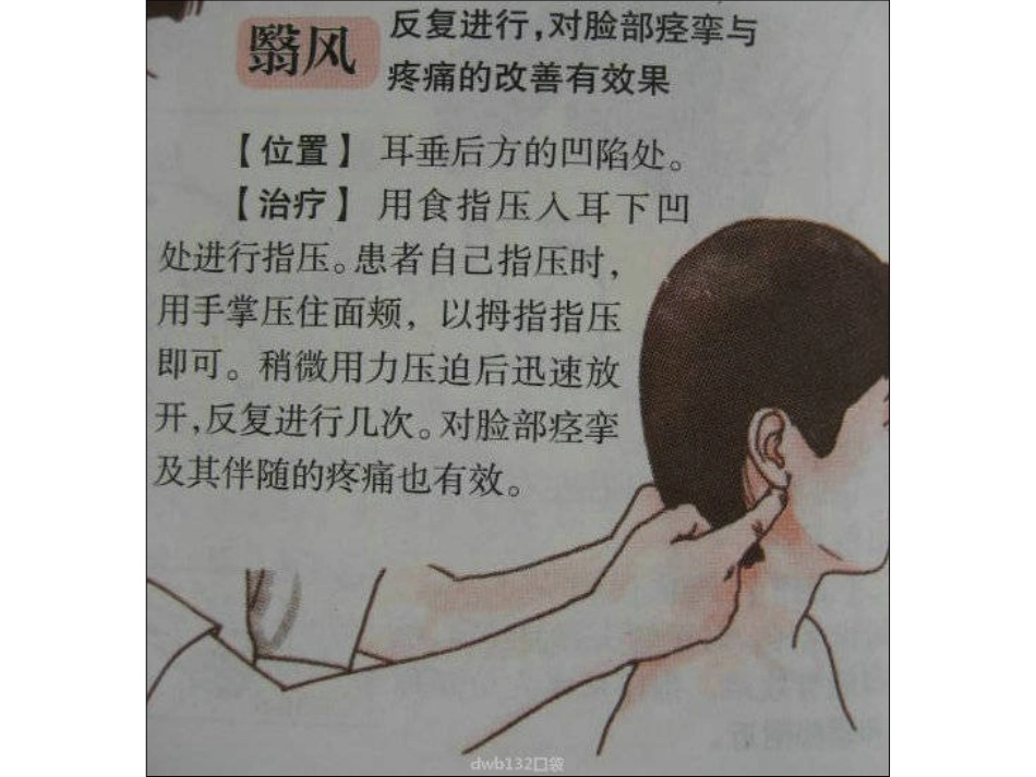 图说人体常用按摩穴位-绿茶、青茶的收集_第1页