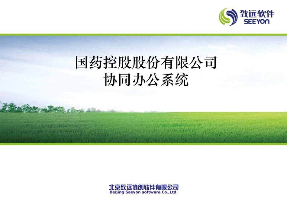 国药控股股份有限公司协同办公系统_第1页