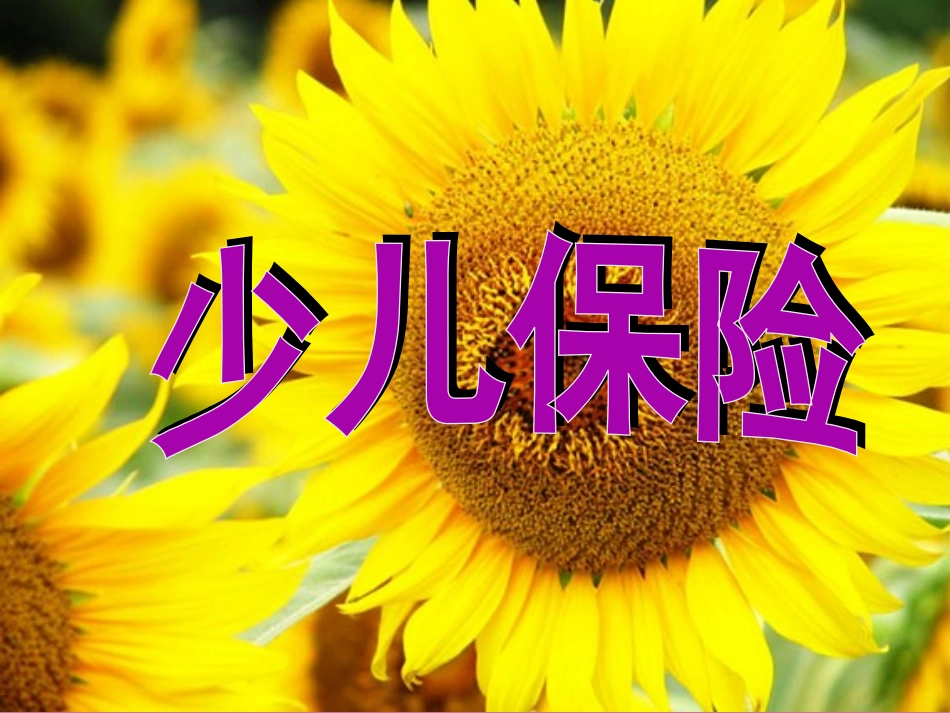 国寿福星少儿两全保险(分红型)产品介绍_第1页