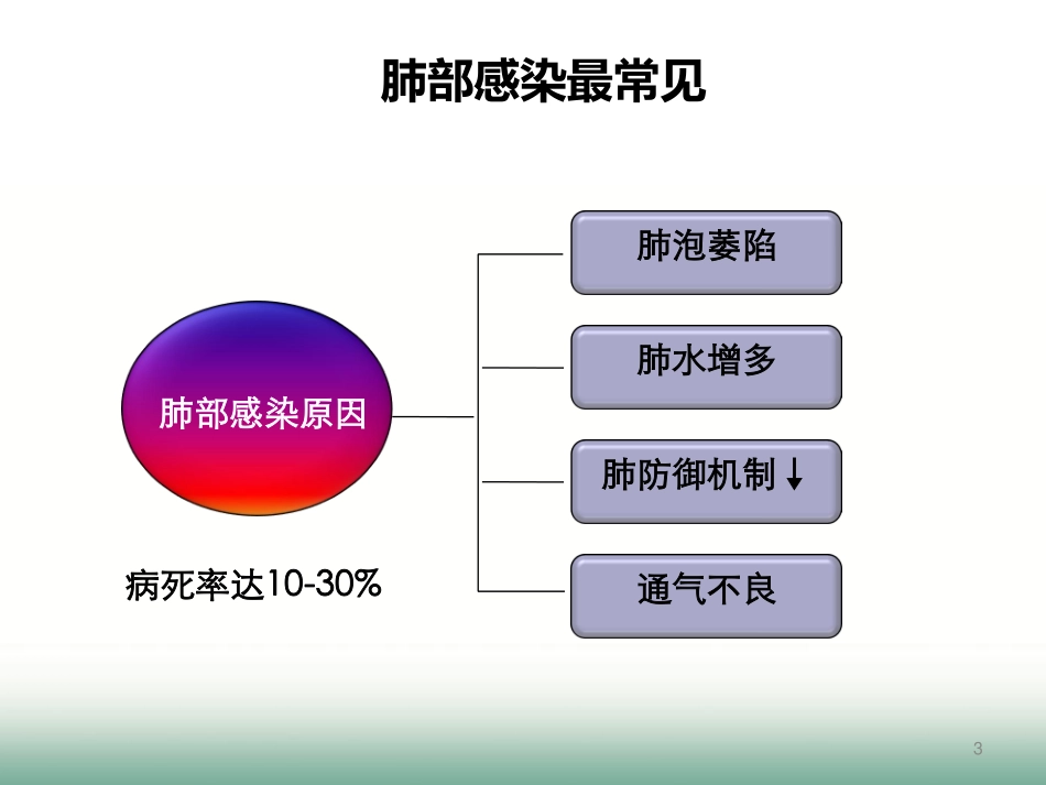 围手术期肺保护与雾化吸入160221南宁_第3页