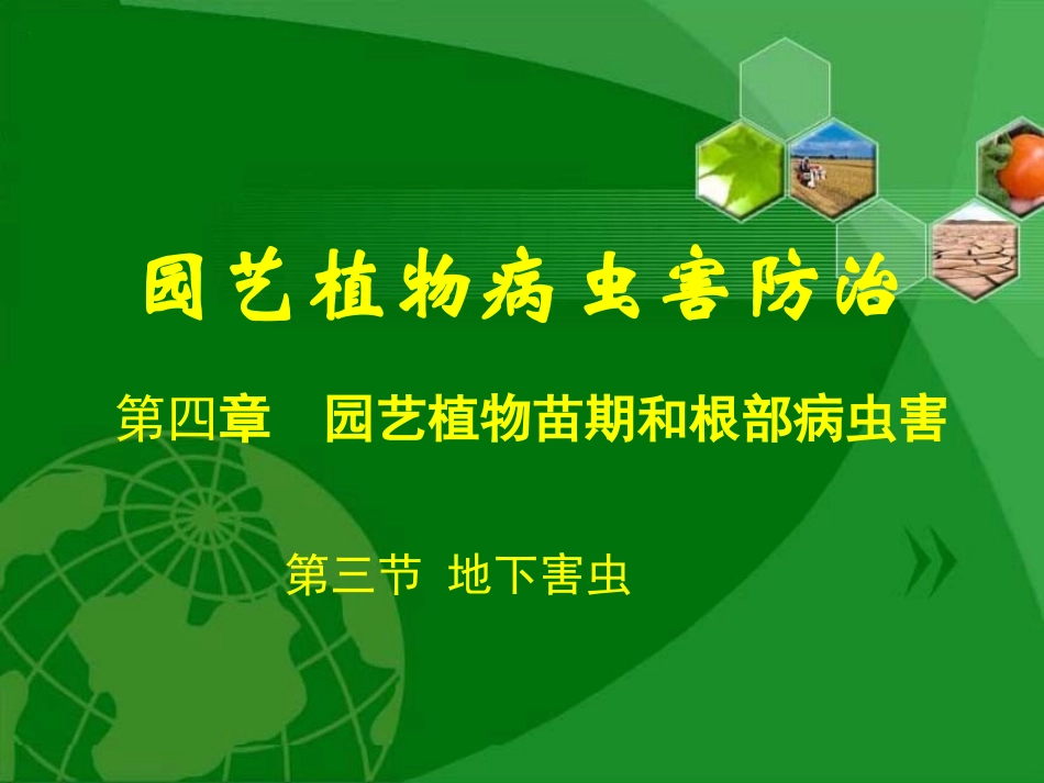 园艺植物病虫害防治4.3_第1页