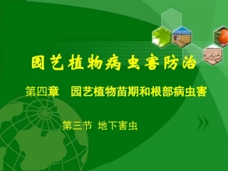 园艺植物病虫害防治4.3