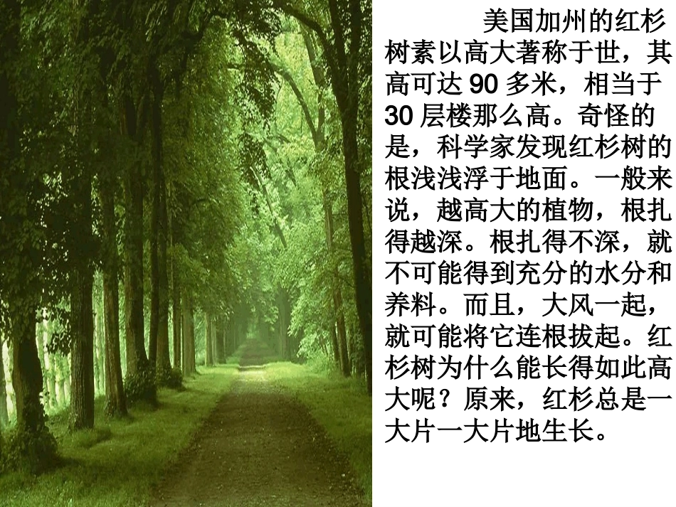 团队精神主题班会_第3页