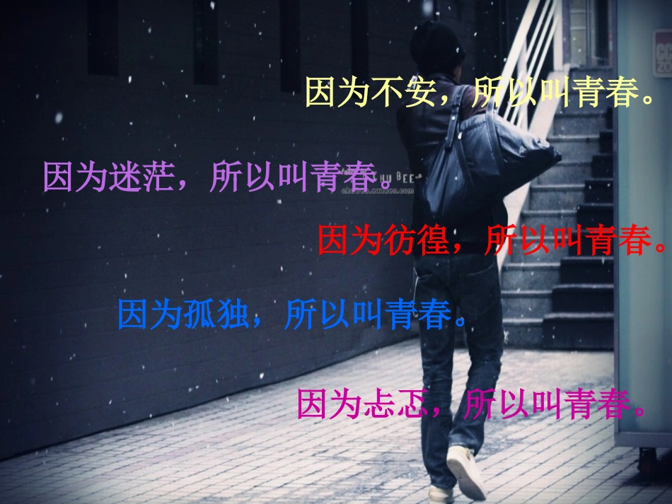 因为痛所以叫青春总论_第2页