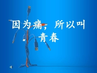因为痛所以叫青春总论
