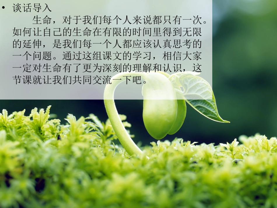 四下热爱生命习作指导ppt_第1页