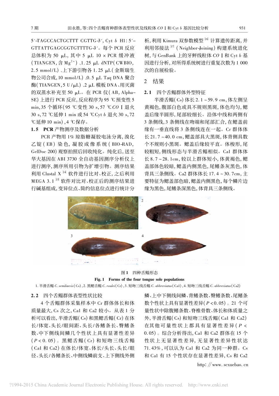 四个舌鳎育种群体表型性状及线粒体CO_和Cytb基因比较分析_田永胜_第3页