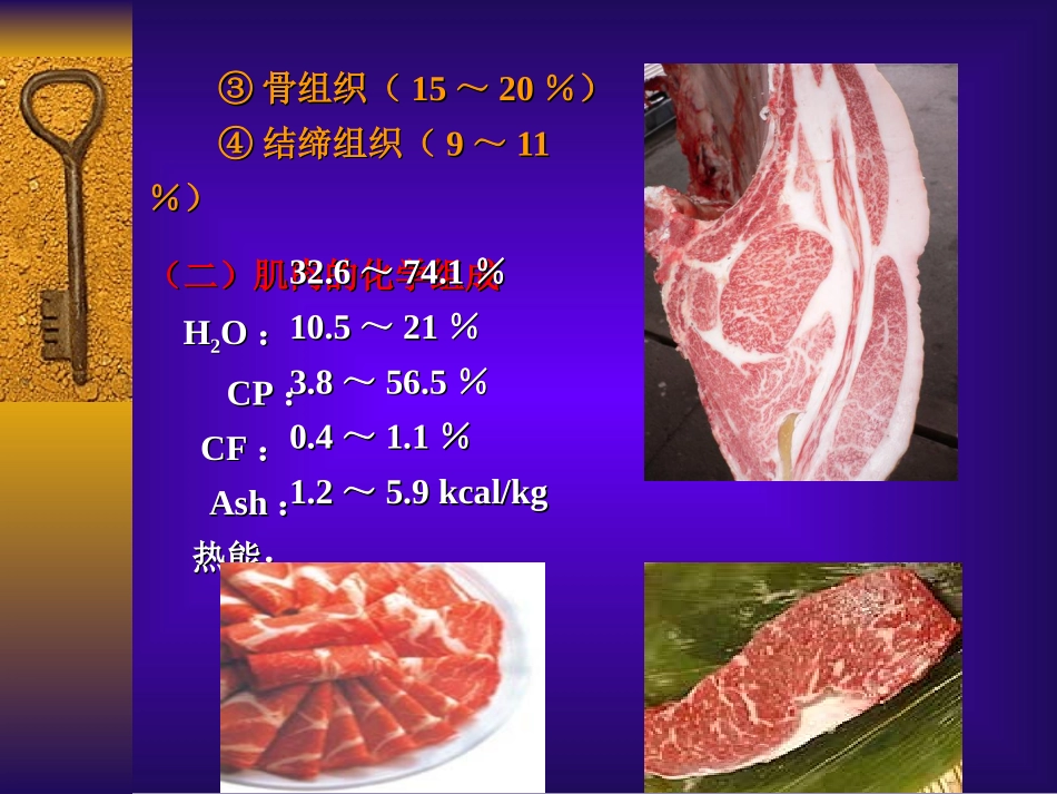四 肉牛产肉性能测定_第3页