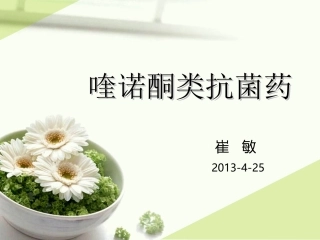 喹诺酮类抗菌药2013-4-25(1)