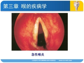 喉的良性病变与喉癌图谱
