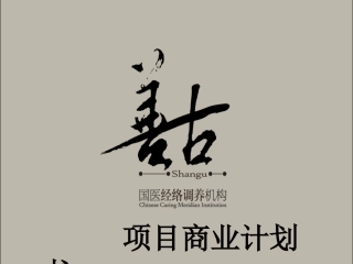 善古国医经络调养