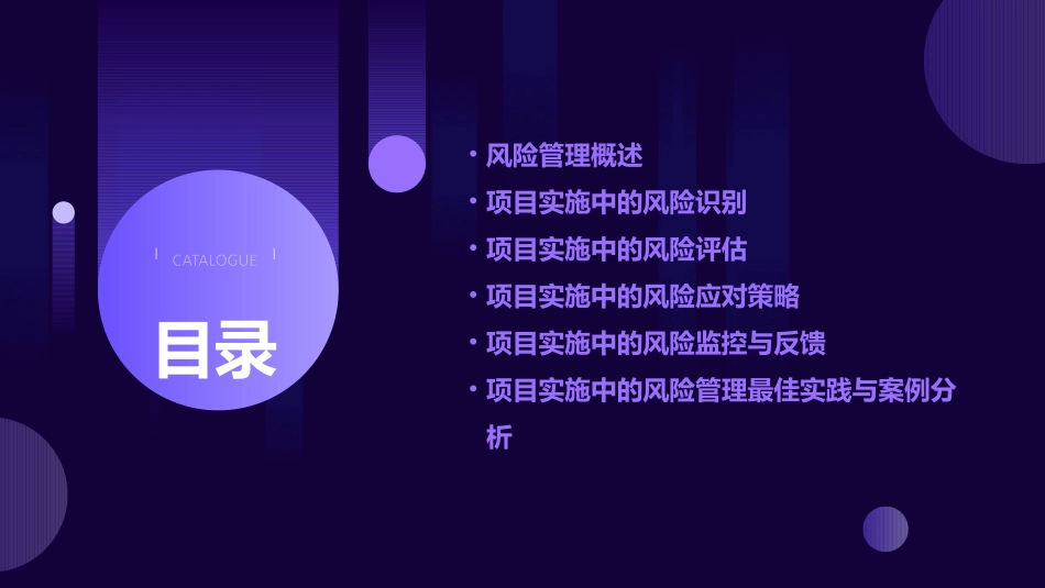 项目实施中的风险管理课件_第2页